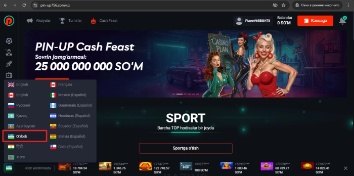 Pinup saytini uzbek tilida ishlatish