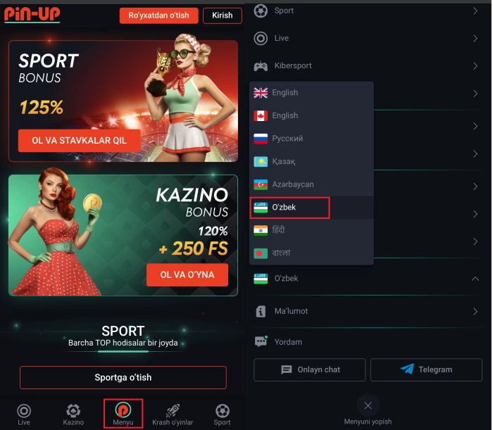 Pin-up o'zbek tilida kirish qullanmasi